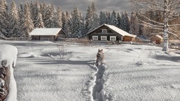 It snowed our village ... / ***