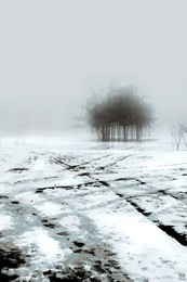 Schicksalslinien / Canon 7d + Corel Painter