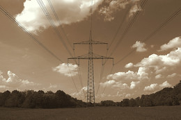 Schicksalslinien / ***