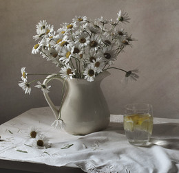 Daisies / ***