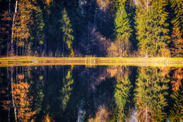 Schicksalslinien / ***