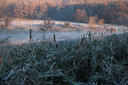 November morning / ***