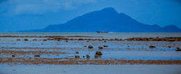 Low tide / ***