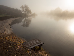Transparency foggy morning. / ***