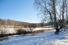 Winter sketch. / ***