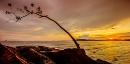 Sunset. / ***