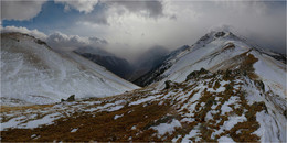 Agreed winter and autumn / ***