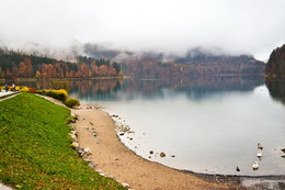 Alpsee / ***
