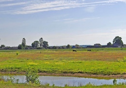 Country Landscape / ***