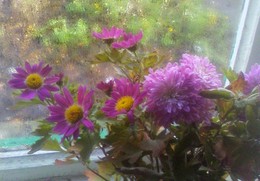 November morning / ***
