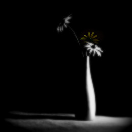 Still life / ***