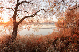 Unter Raureif / ***