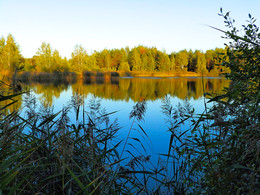 And on the other side of the fall .... / ***