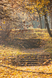 autumn in city park / ***