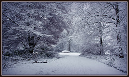 That winter came / ***