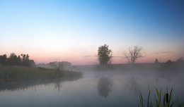Dawn, Fog / ***