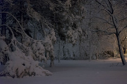 Etwas ähnliches auf den Winter / ***