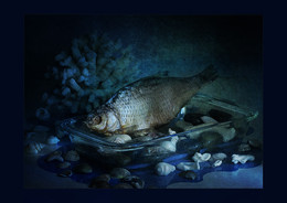 Voblin dream ... / ***