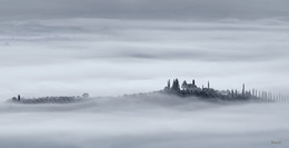 White fog / ***