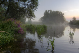 Dawn, Fog / ***