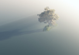 Einsamkeit / ***