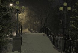 Nacht im Park / ***