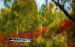 Aquarell / ***