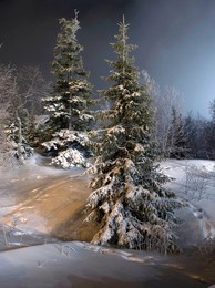 in winter / ***
