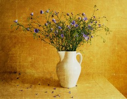 Blue flax / ***