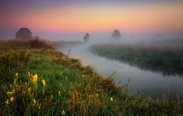 Morning on the river / ***