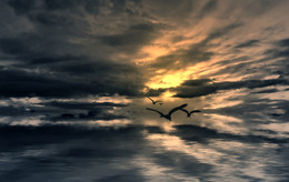 Fliegt über das Meer ... / ***