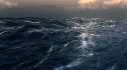 Ocean is shaking... / ***