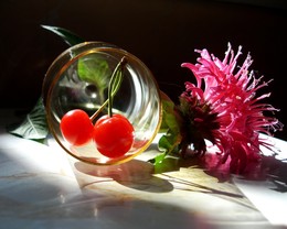 Remembering summer / ***