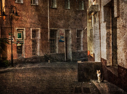 Time deserted streets ... / ***
