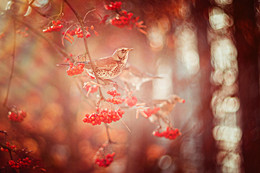 im Oktober / _____