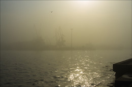Through sunny fog ....... / ***