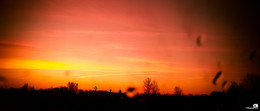 Morning / ***