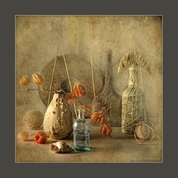 Physalis. 2014 / music: Agnes Obel - The Curse
https://www.youtube.com/watch?v=j1wgaFJ0750