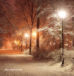 in the park / ***