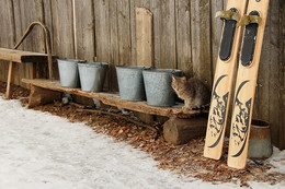 Water brought, right now, to go hunting! / ***