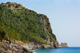 Cliff / ***