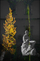 Evergreen / ***