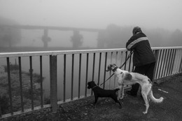 Foggy morning / ***