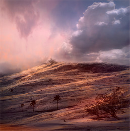 One and harmonious / ***