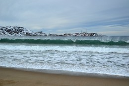 Coast Terebirki / ***