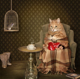 A cozy evening ... / ***