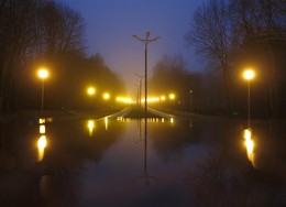 Abends, Allee / ***