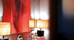 The girl in the shower / ***