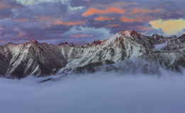 lila Sonnenuntergang / ***