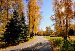 Am schönen Herbst Tag / ***